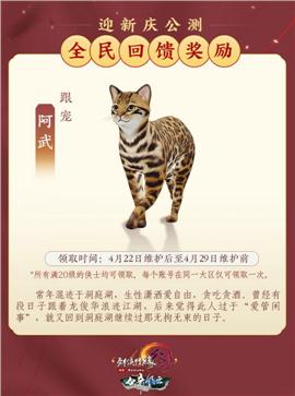 37天龙八部私服